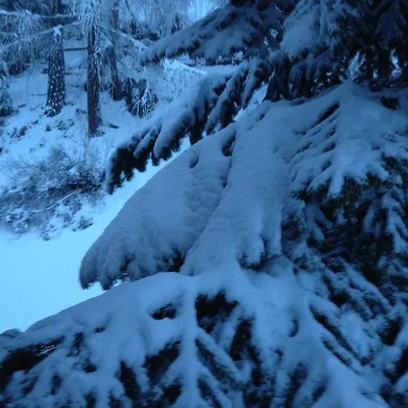 Апартаменти Haus Marico