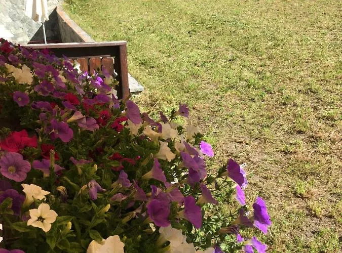 Haus Marico Lägenhet Zermatt