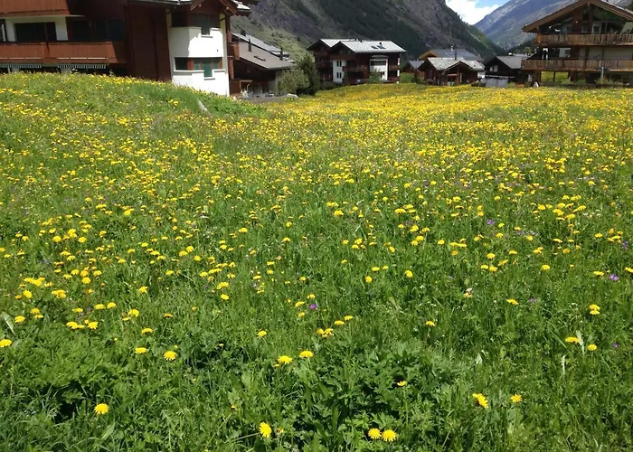 Lägenhet Haus Marico