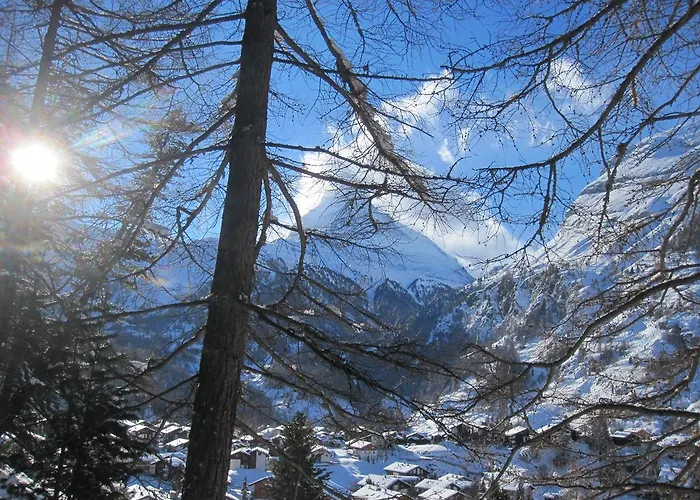 アパート ハウス マリコ