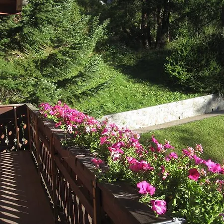 Lägenhet Haus Marico Zermatt
